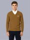 Men Mustard Self Design V Neck Full Sleeve Pullover