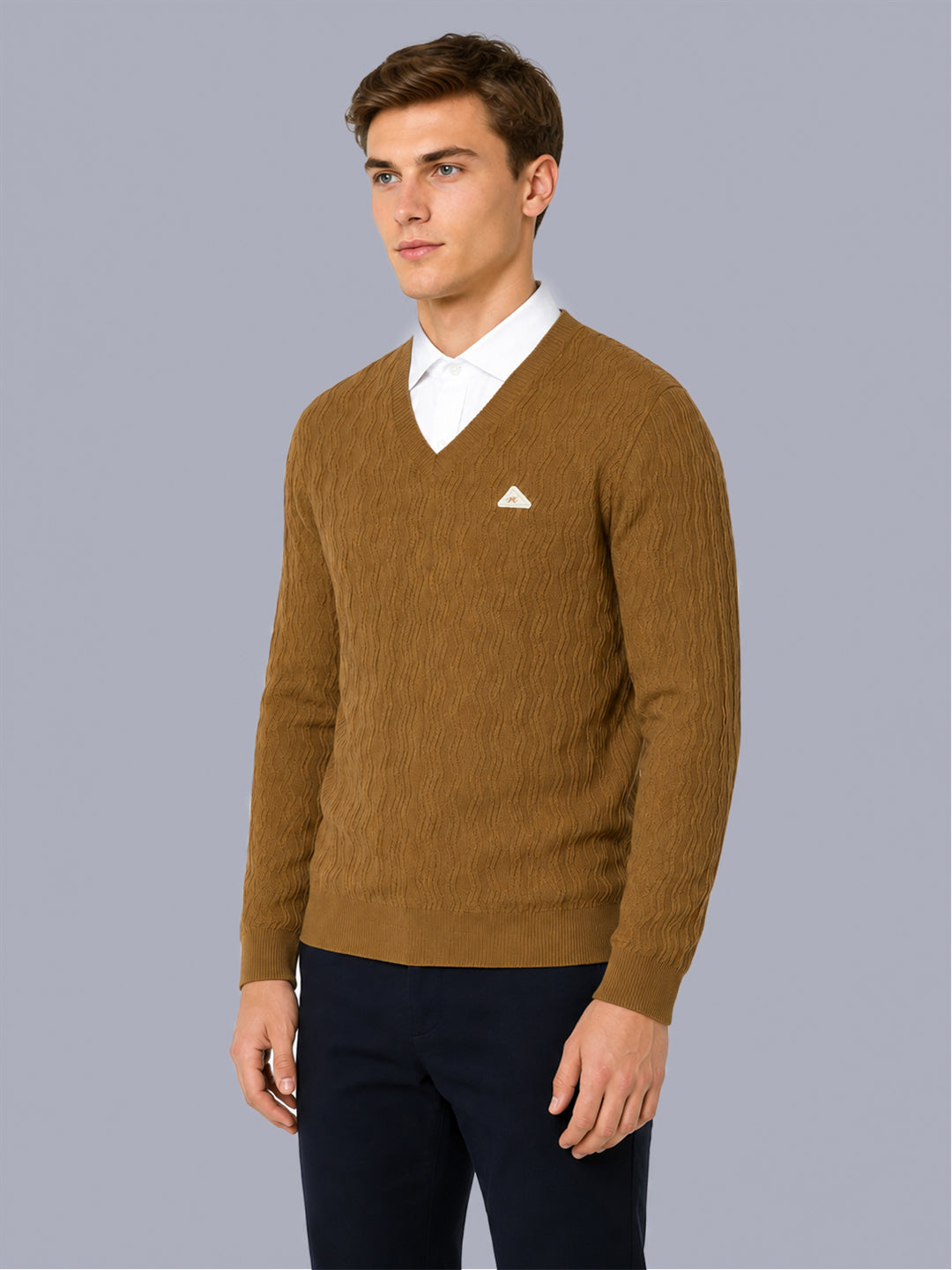 Men Mustard Self Design V Neck Full Sleeve Pullover