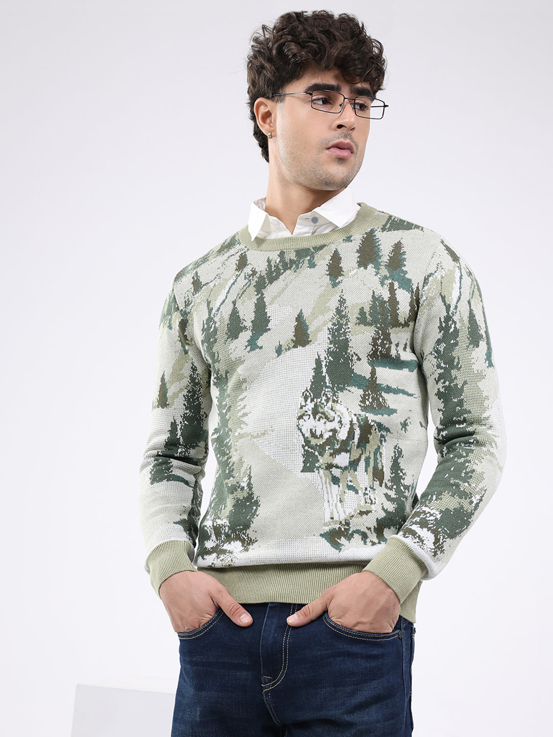 Men Green Self Design Round Neck Full Sleeve Pullover