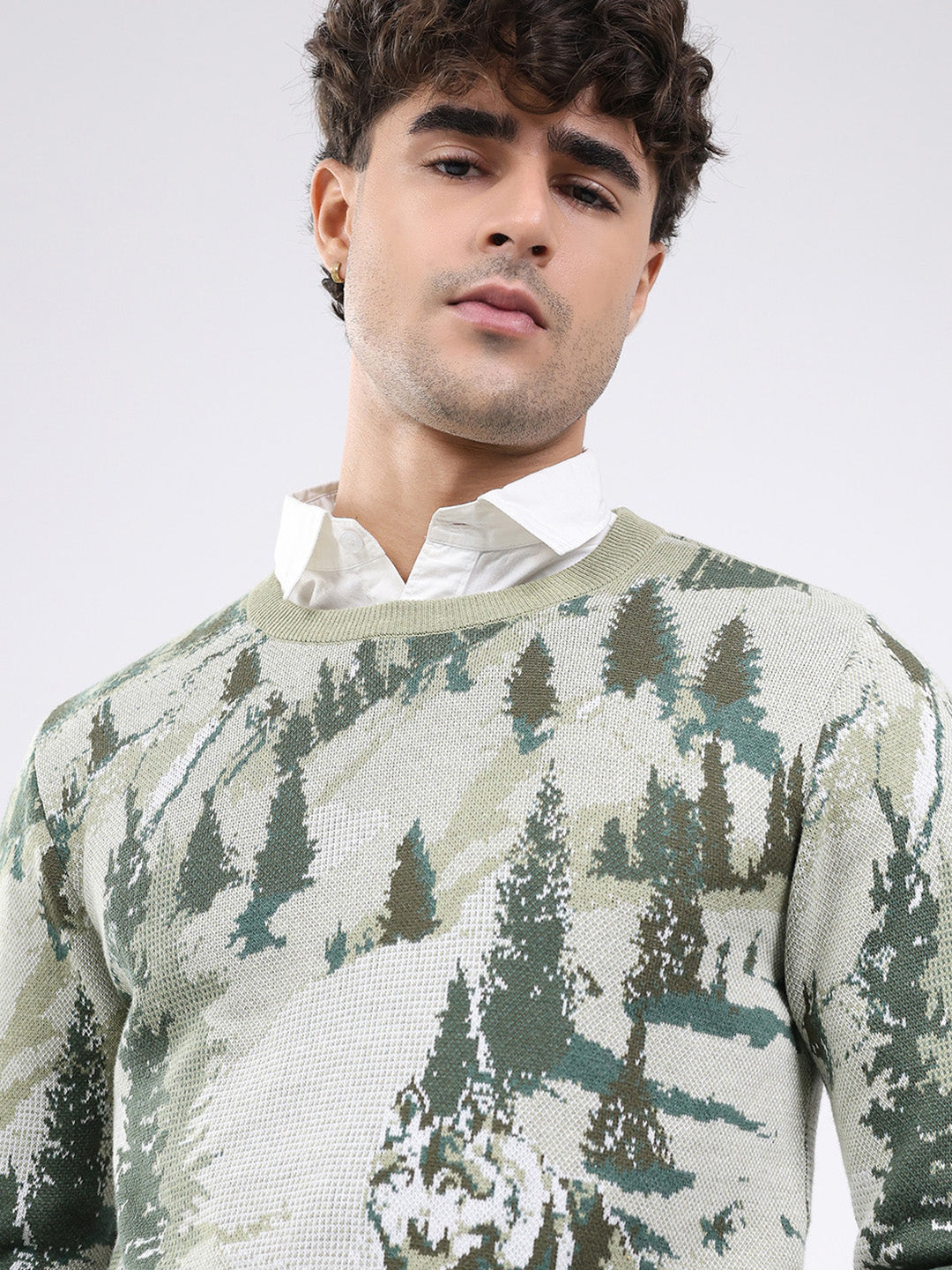 Men Green Self Design Round Neck Full Sleeve Pullover