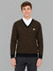 Men Brown Designer V Neck Full Sleeve Pullover