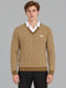 Men Camel Brown Designer V Neck Full Sleeve Pullover