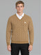Men Camel Brown Designer V Neck Full Sleeve Pullover