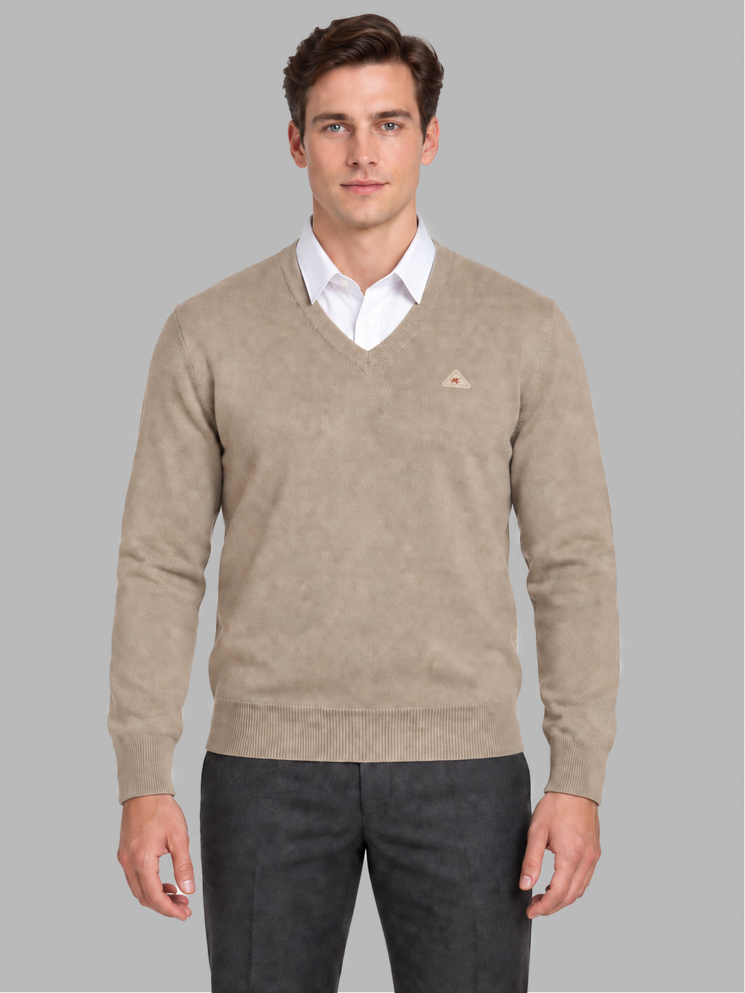 Men Beige Solid V Neck Full Sleeve Pullover