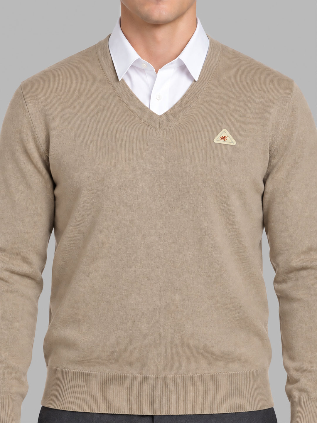 Men Beige Solid V Neck Full Sleeve Pullover