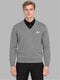 Men Grey Solid V Neck Full Sleeve Pullover