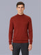 Men Rust Solid Turtle Neck Full Sleeve Pullover