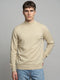 Men Cream Solid Turtle Neck Full Sleeve Pullover