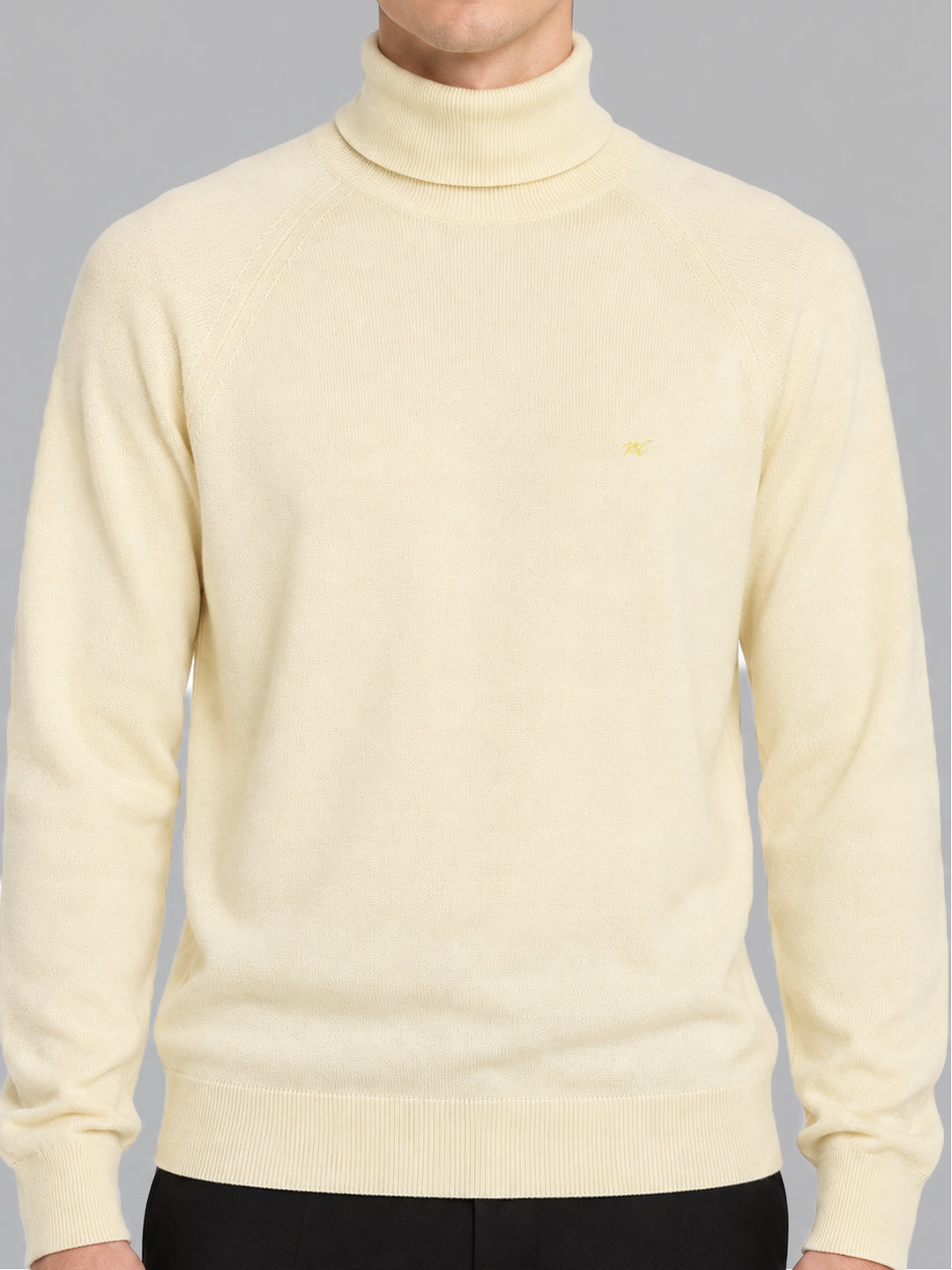 Men Cream Solid Turtle Neck Full Sleeve Pullover