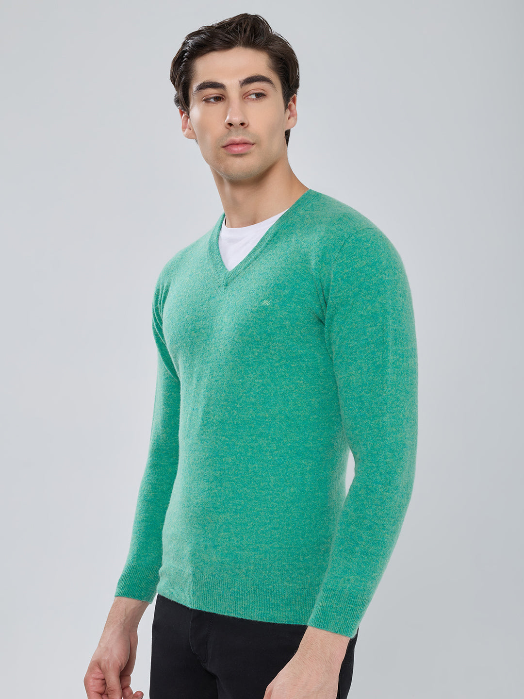 Men Sea Green Solid V Neck Full Sleeve Pullover