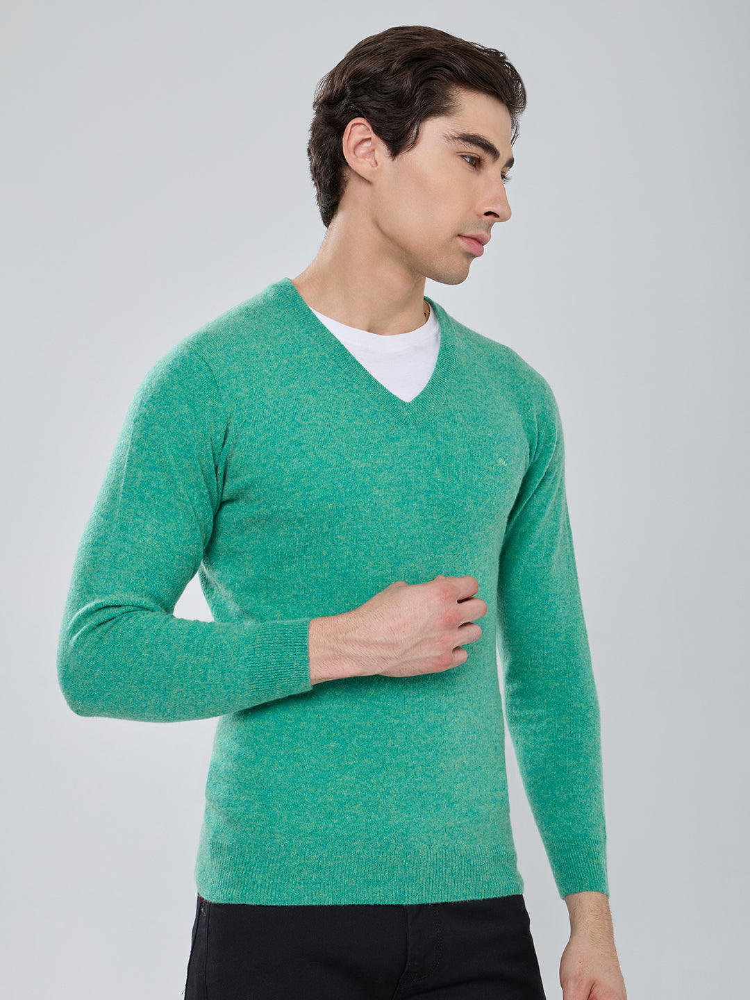 Men Sea Green Solid V Neck Full Sleeve Pullover