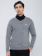 Men Grey Solid V Neck Full Sleeve Pullover