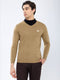 Men Camel Brown Solid V Neck Full Sleeve Pullover