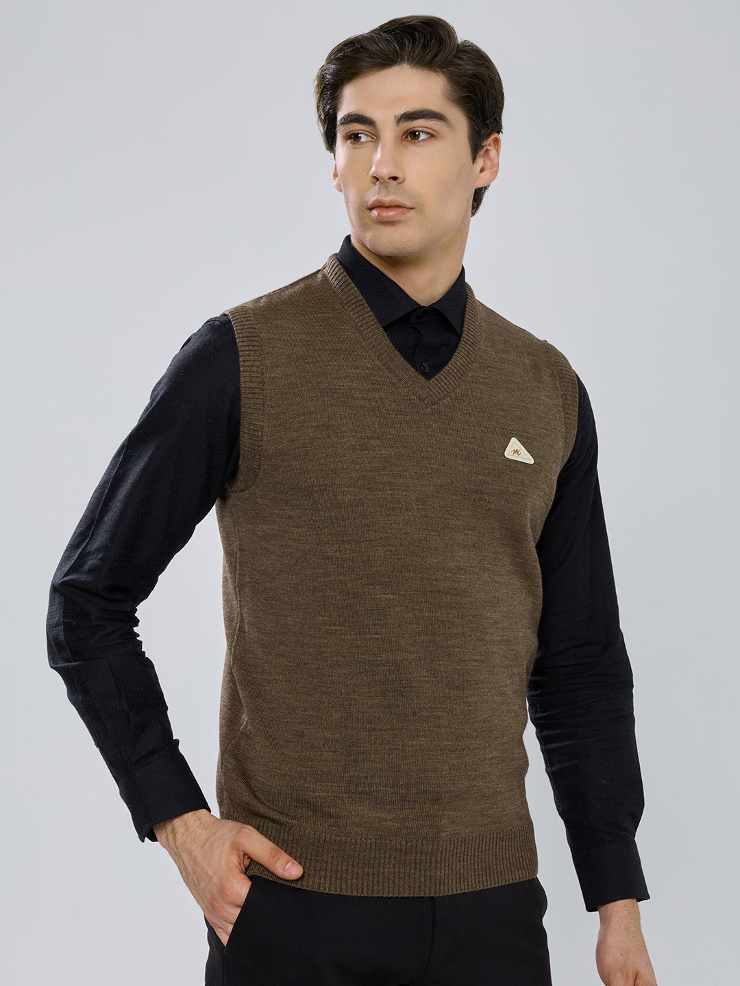Men Brown Solid V Neck Sleeveless Sweater