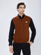 Men Rust Solid V Neck Sleeveless Sweater