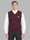 Men Purple Solid V Neck Sleeveless Sweater
