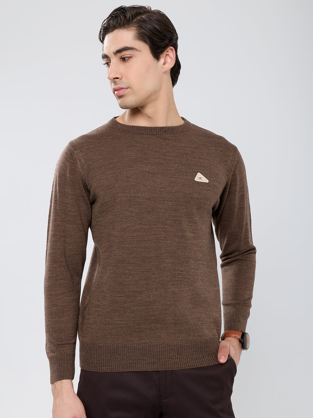 Men Brown Solid Round Neck Full Sleeve Pullover