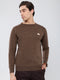 Men Brown Solid Round Neck Full Sleeve Pullover