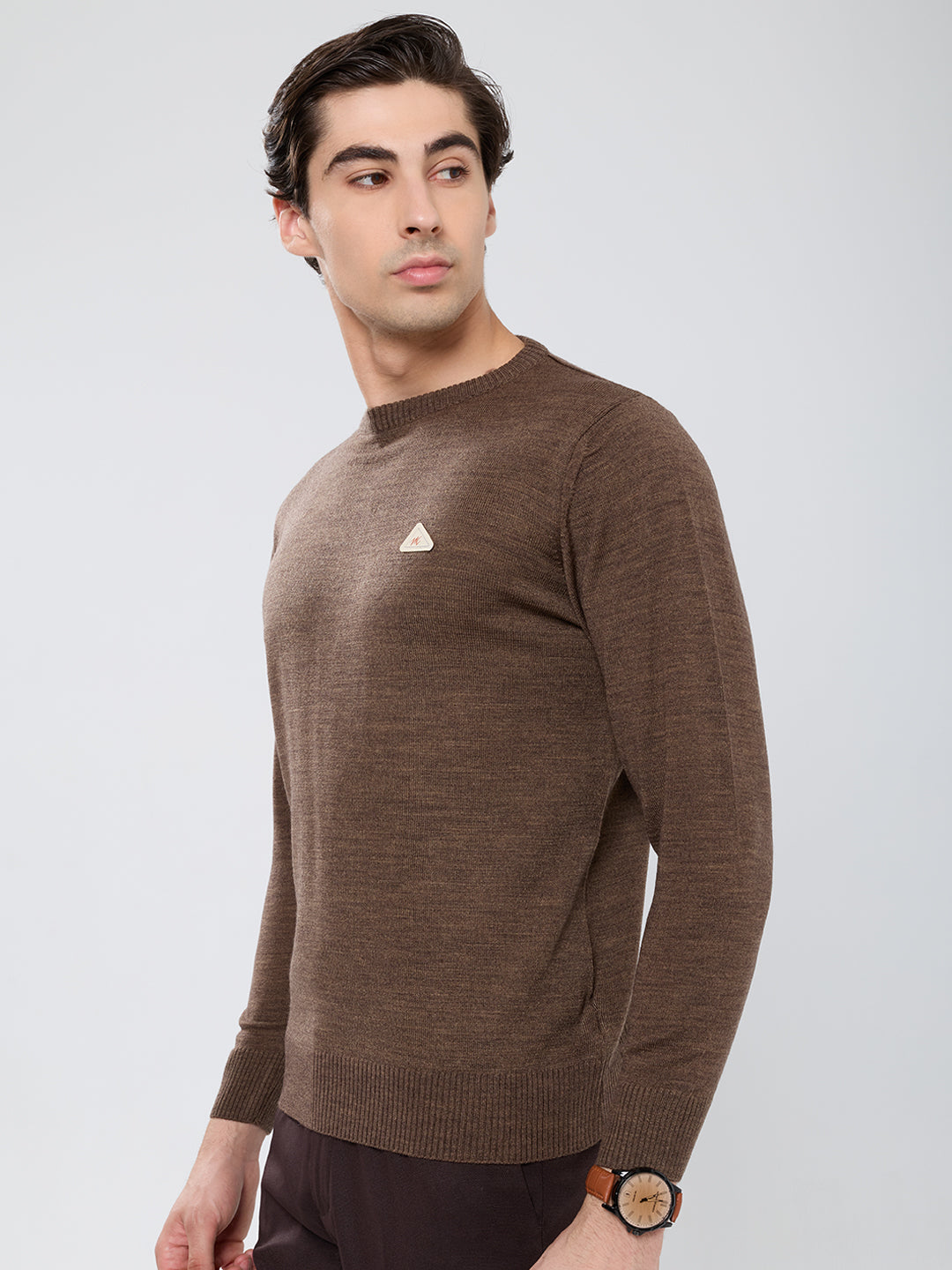 Men Brown Solid Round Neck Full Sleeve Pullover