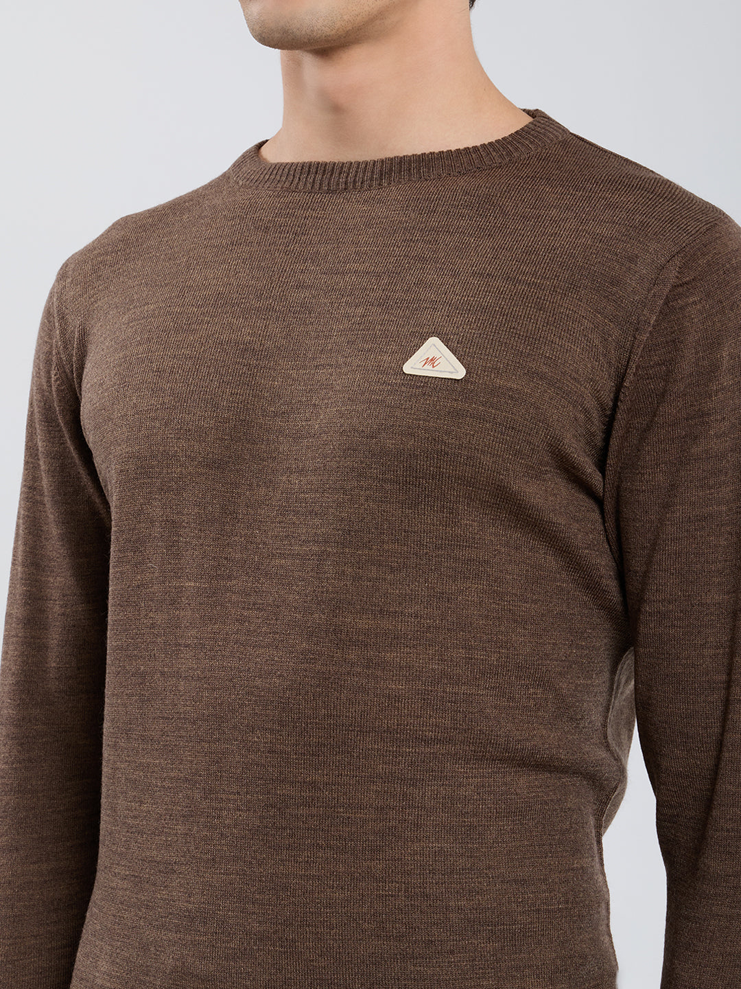 Men Brown Solid Round Neck Full Sleeve Pullover