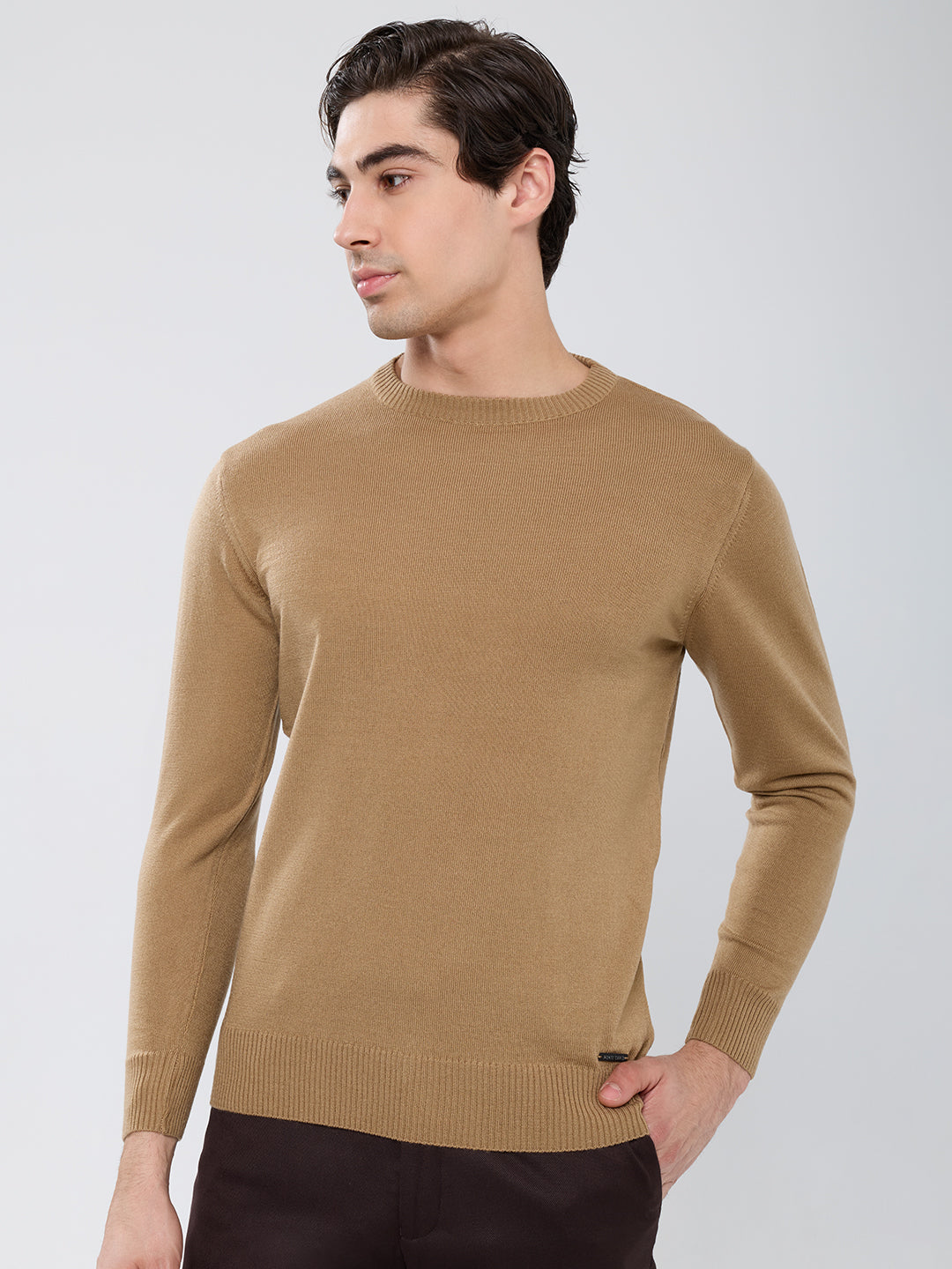 Men Camel Brown Solid Round Neck Full Sleeve Pullover