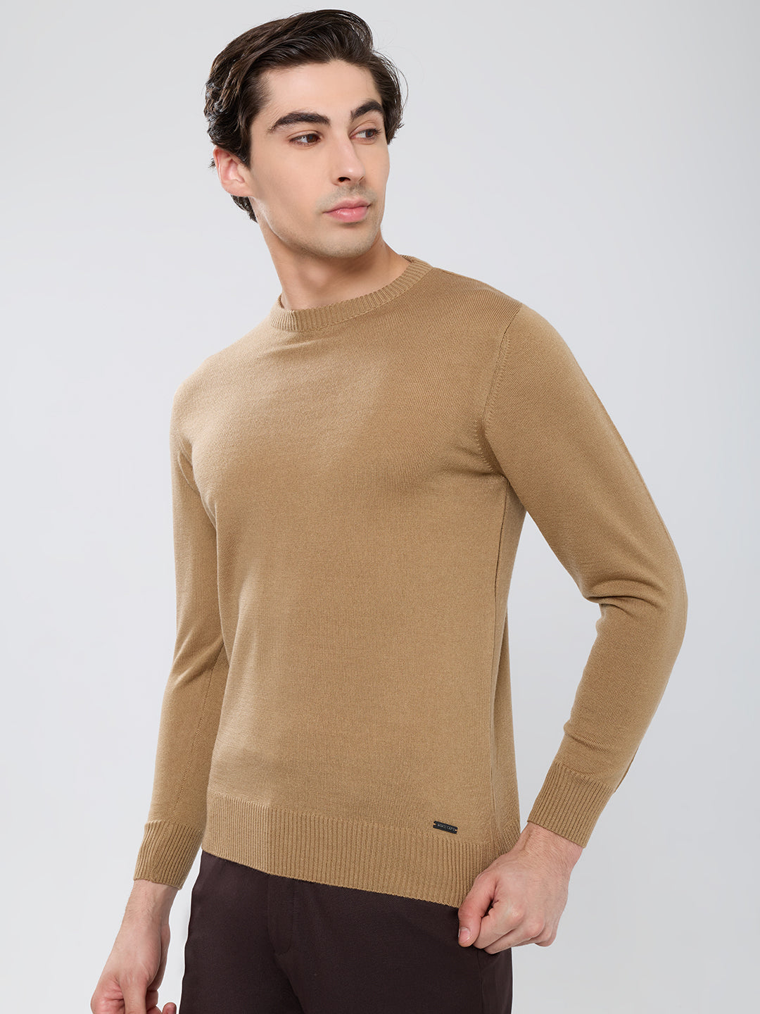 Men Camel Brown Solid Round Neck Full Sleeve Pullover