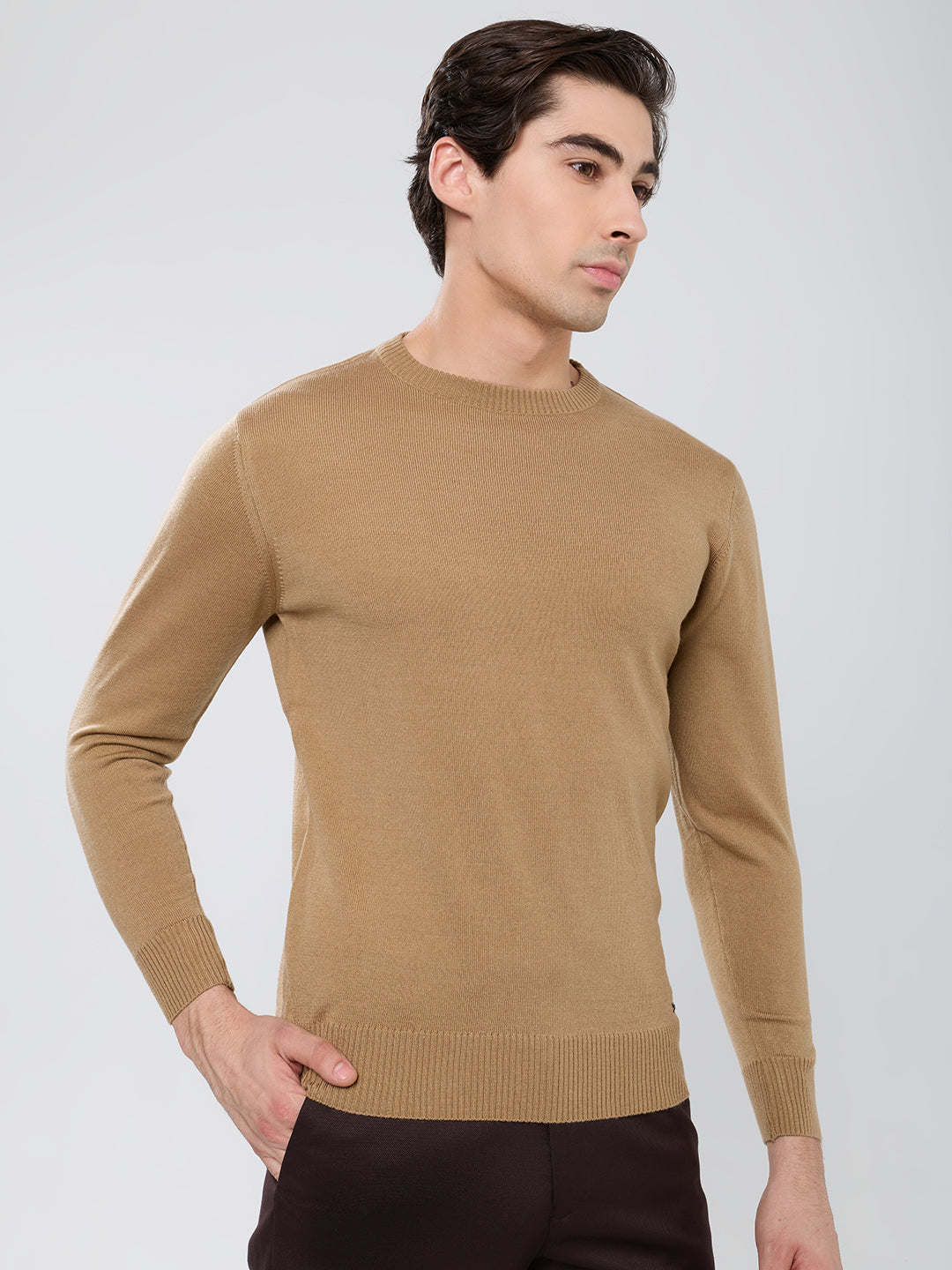 Men Camel Brown Solid Round Neck Full Sleeve Pullover
