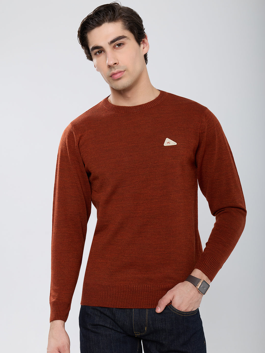 Men Rust Solid Round Neck Full Sleeve Pullover