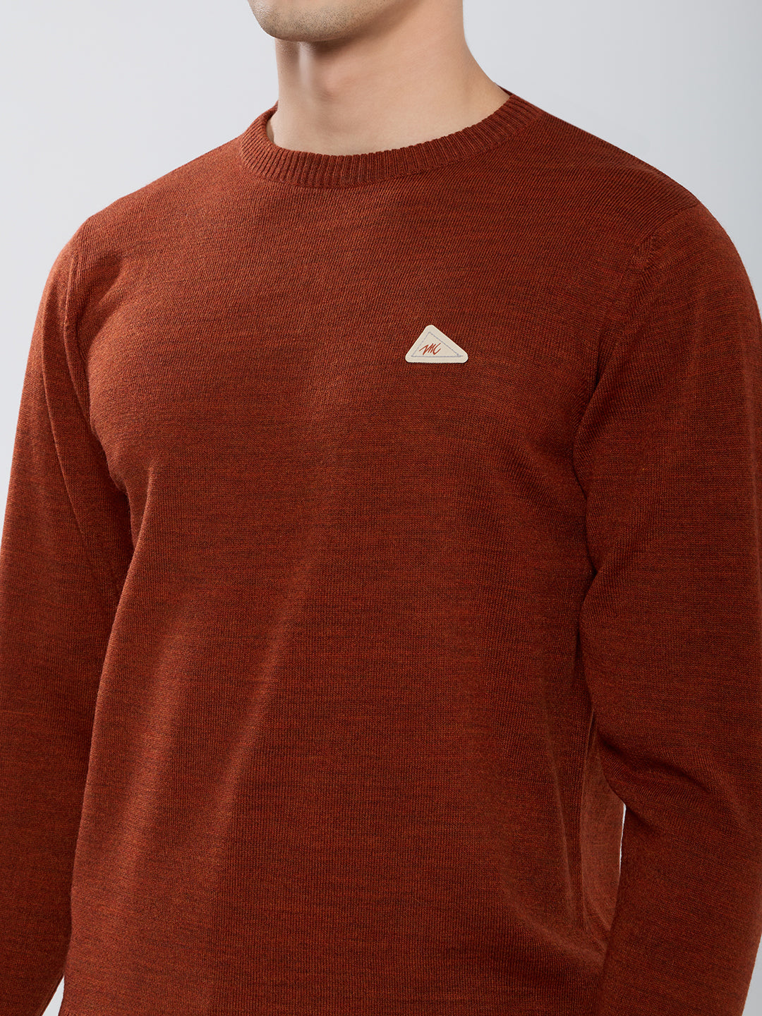 Men Rust Solid Round Neck Full Sleeve Pullover