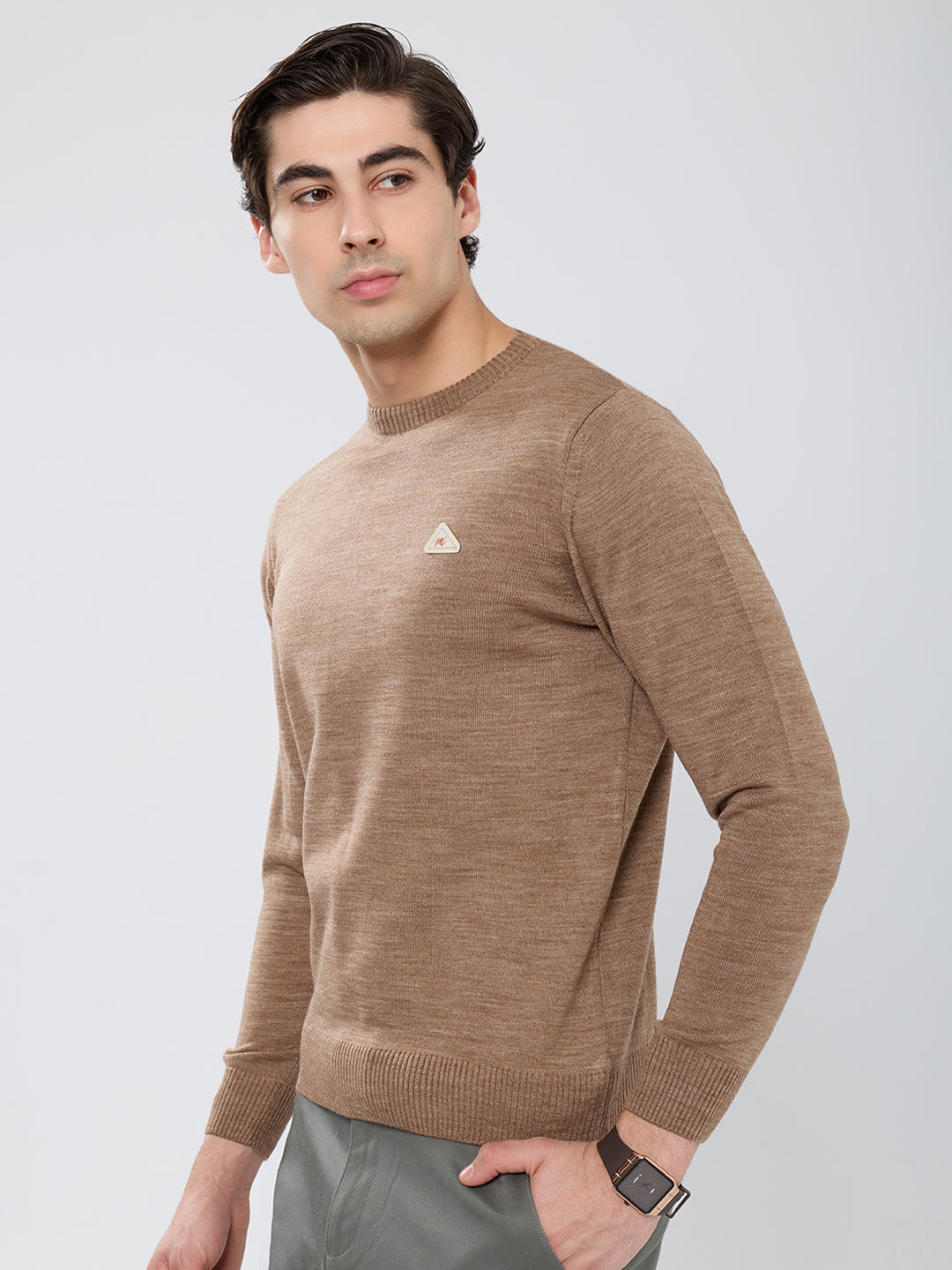 Men Brown Solid Round Neck Full Sleeve Pullover