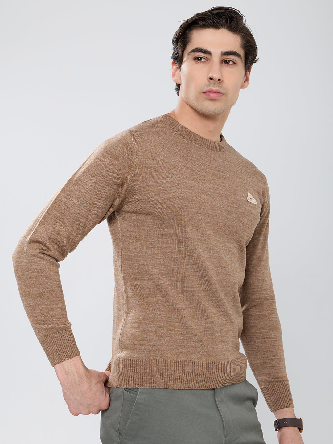 Men Brown Solid Round Neck Full Sleeve Pullover