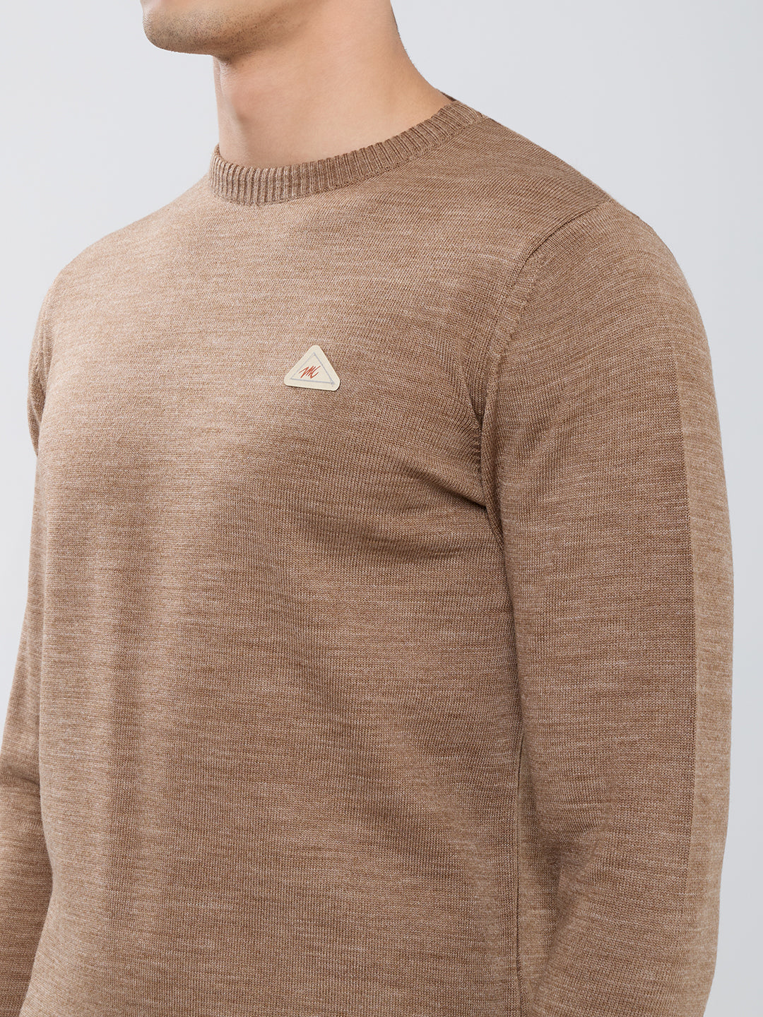 Men Brown Solid Round Neck Full Sleeve Pullover