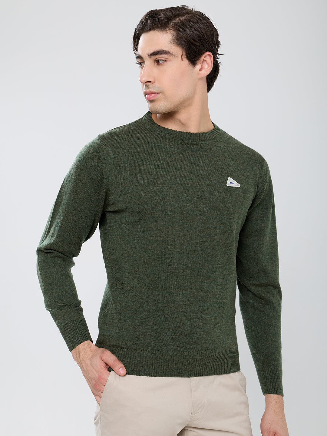Men Olive Solid Round Neck Full Sleeve Pullover