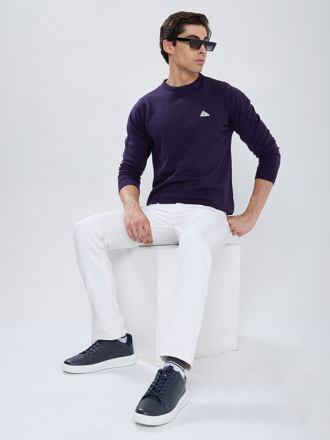 Men Purple Solid Round Neck Full Sleeve Pullover