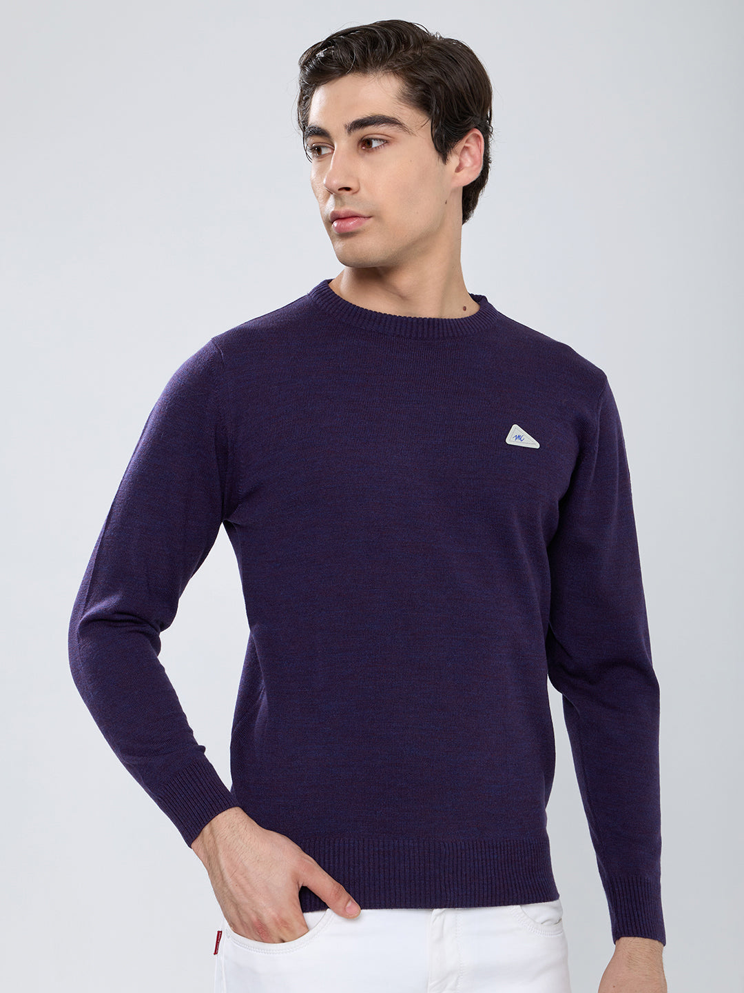 Men Purple Solid Round Neck Full Sleeve Pullover