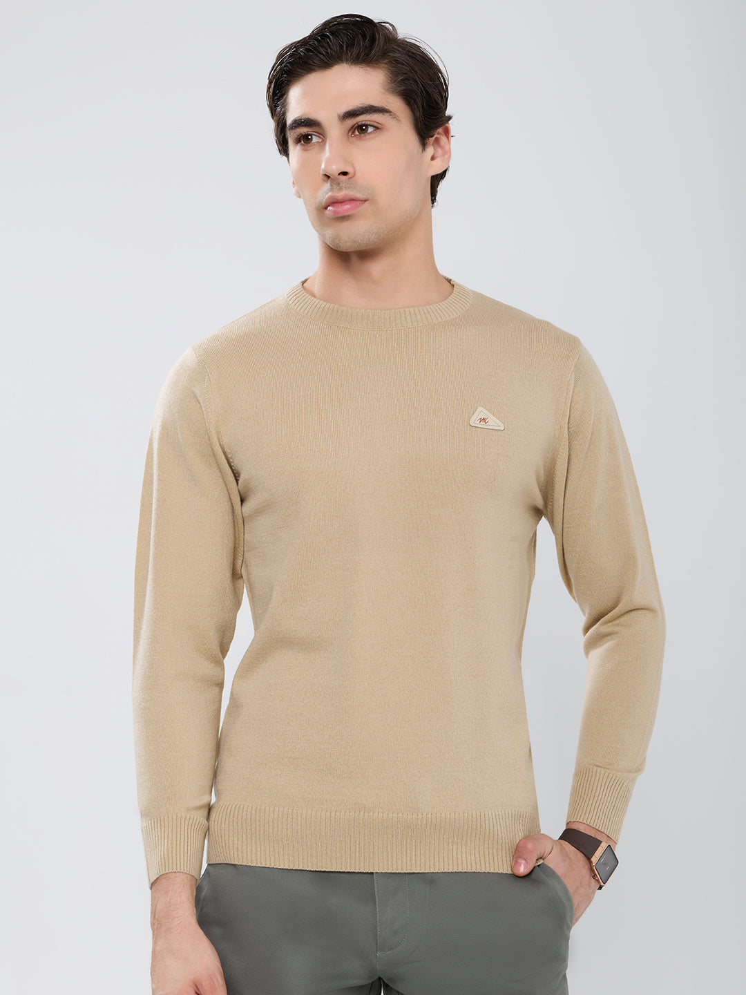 Men Camel Brown Solid Round Neck Full Sleeve Pullover