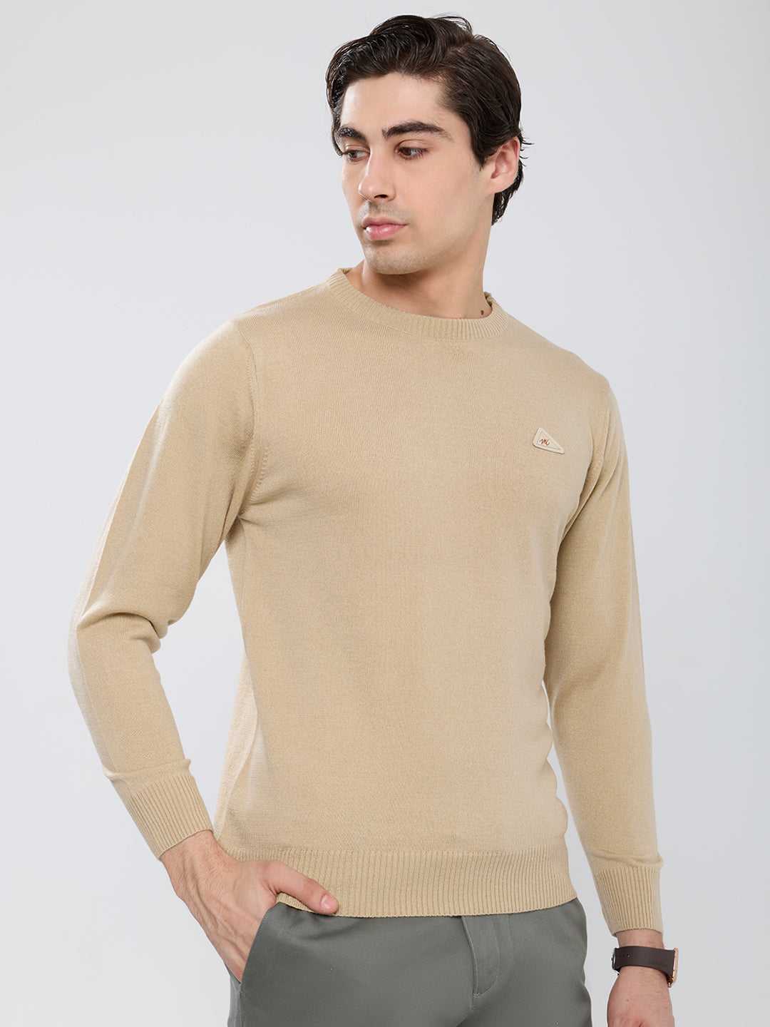 Men Camel Brown Solid Round Neck Full Sleeve Pullover