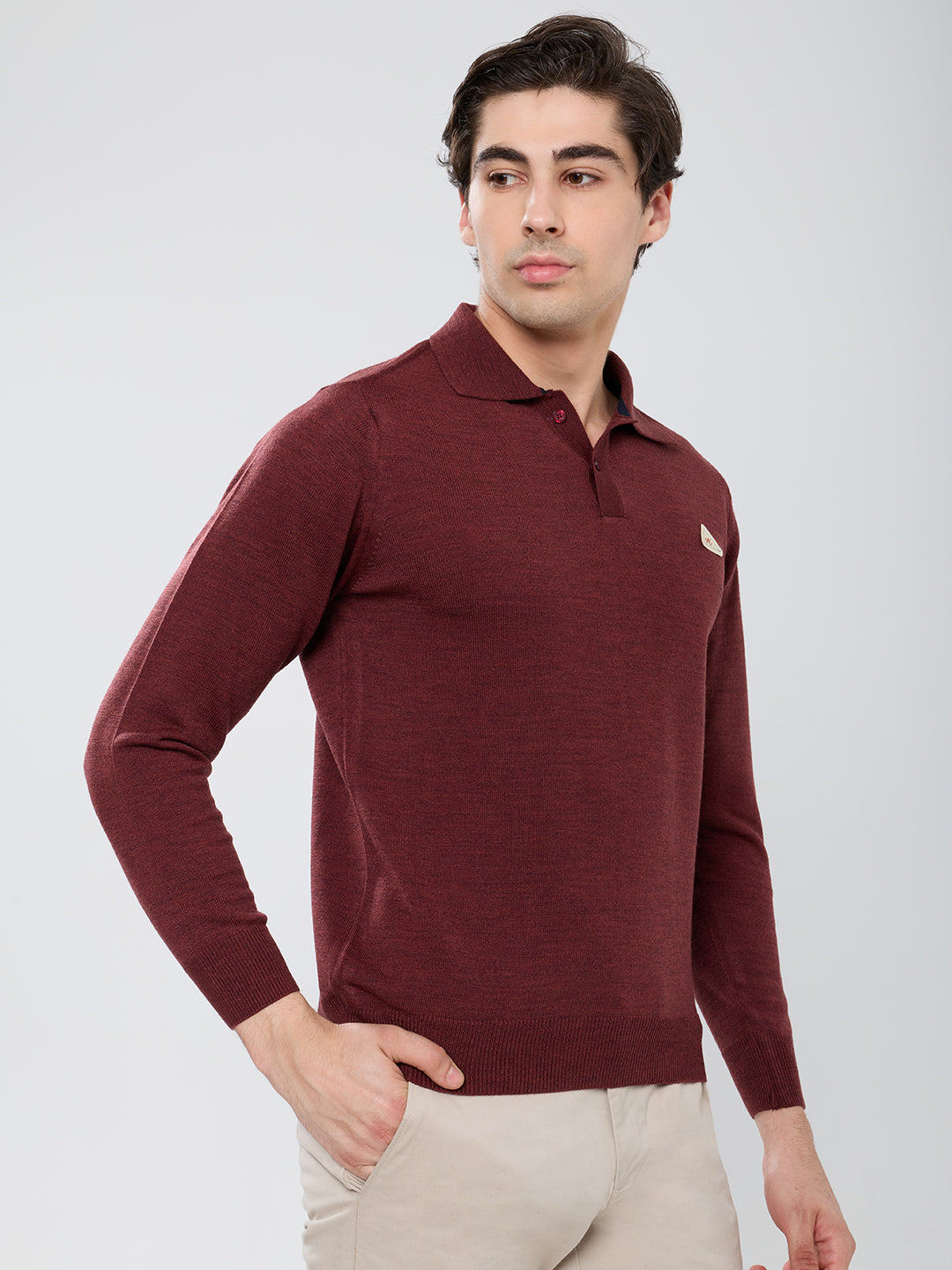 Men Brown Solid Polo Collar Full Sleeve Winter T-Shirt