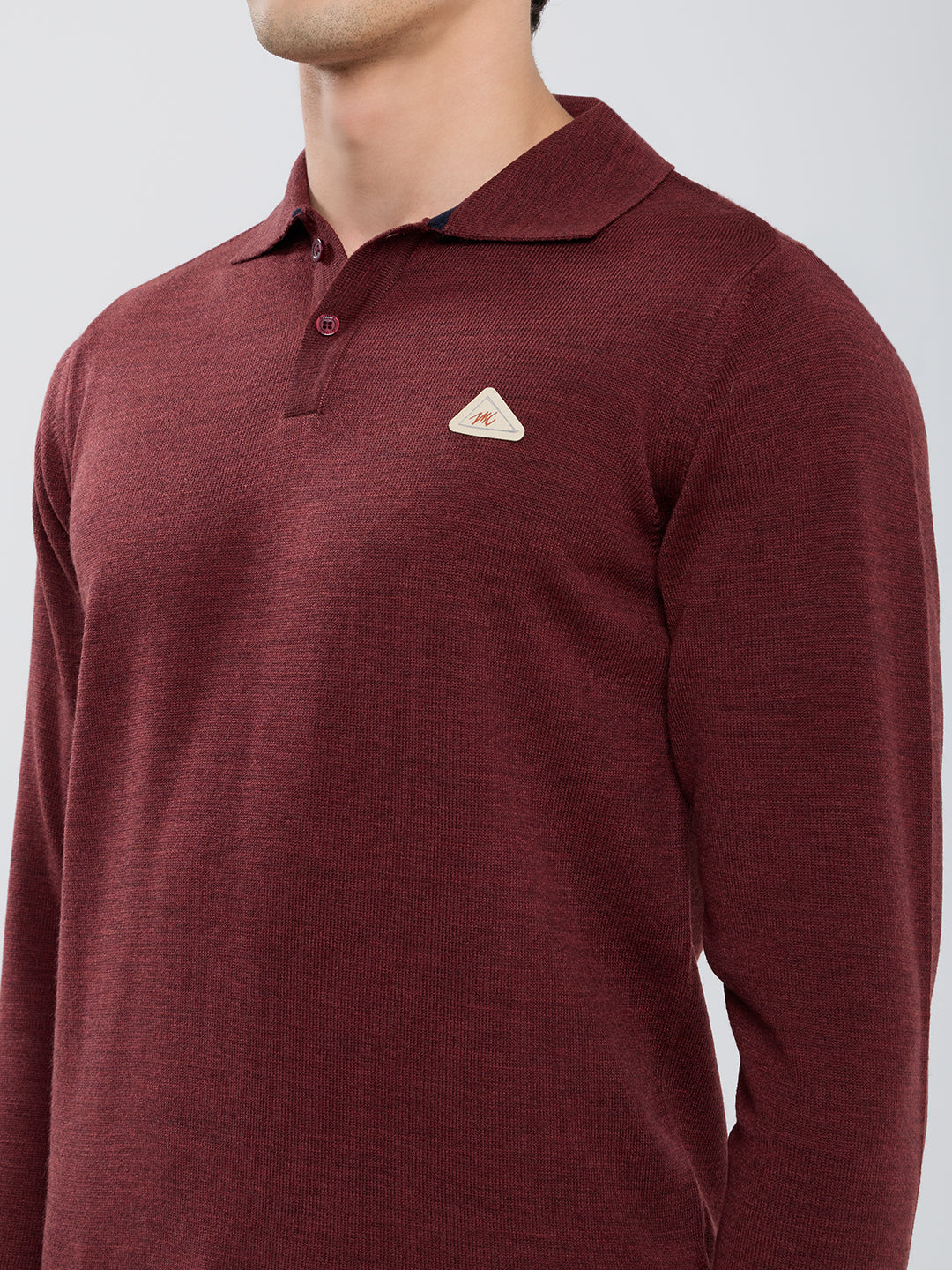 Men Brown Solid Polo Collar Full Sleeve Winter T-Shirt