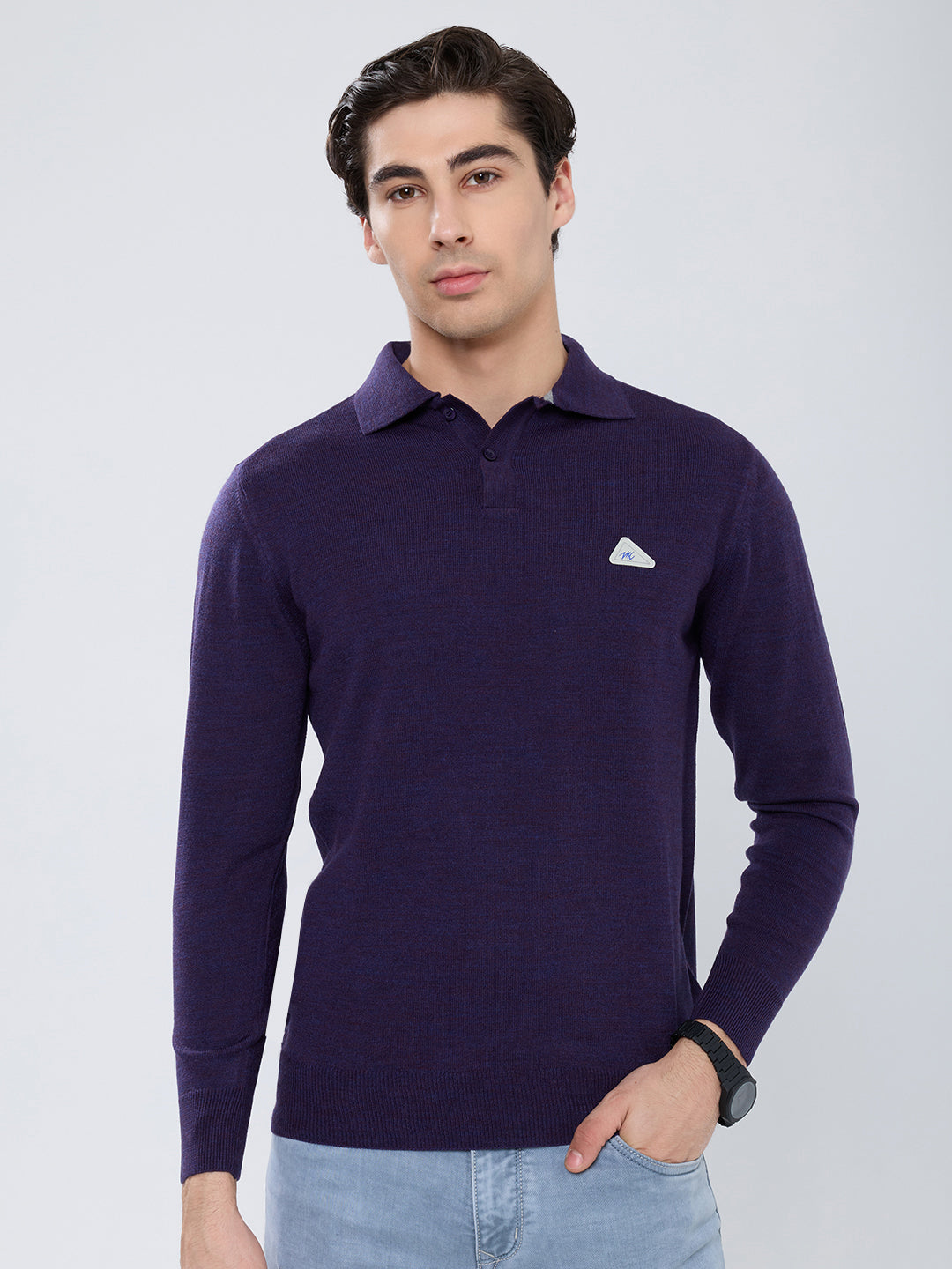 Men Purple Solid Polo Collar Full Sleeve Winter T-Shirt