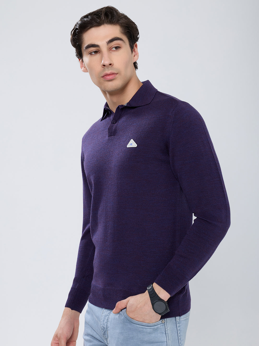 Men Purple Solid Polo Collar Full Sleeve Winter T-Shirt