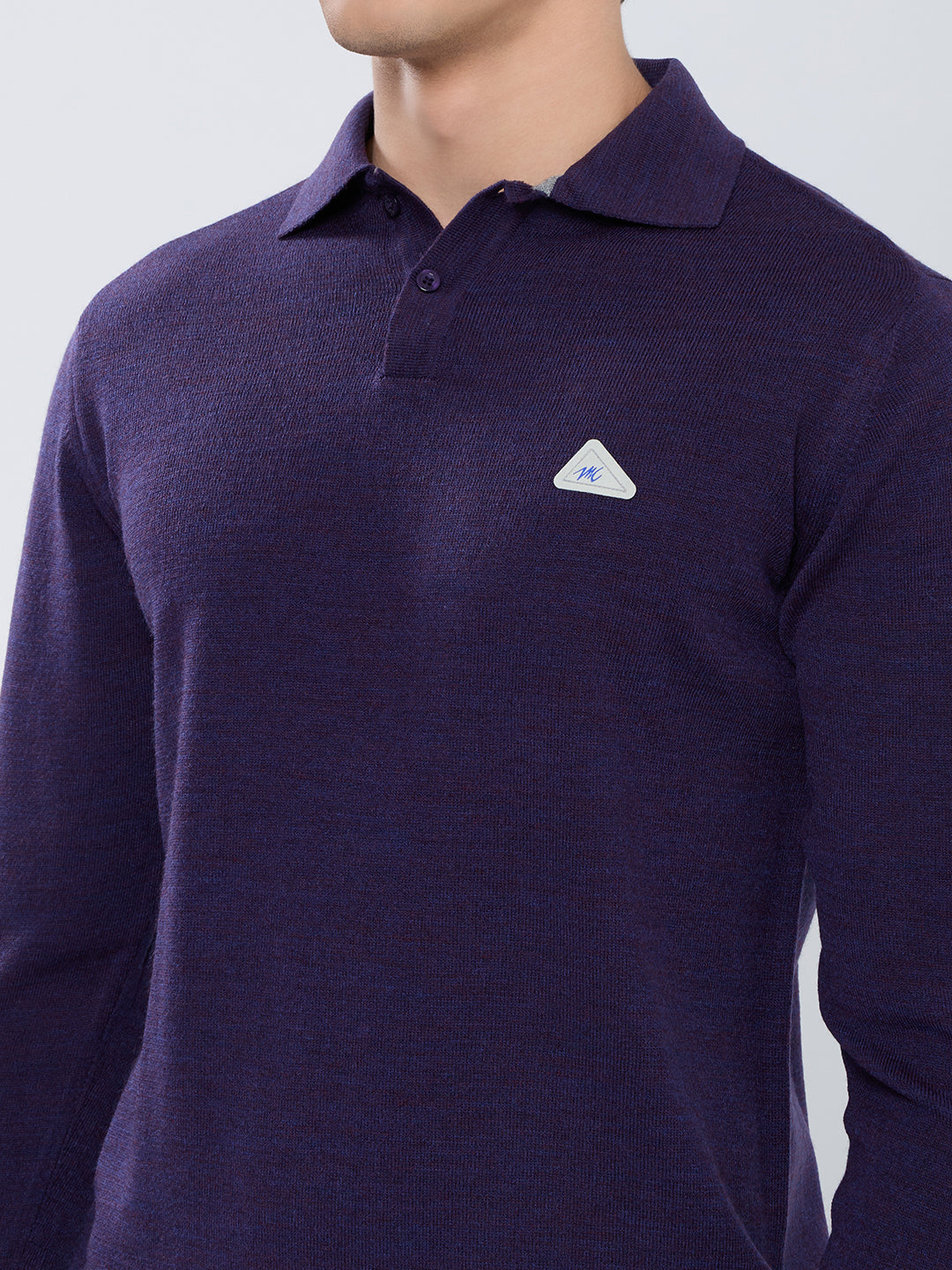 Men Purple Solid Polo Collar Full Sleeve Winter T-Shirt