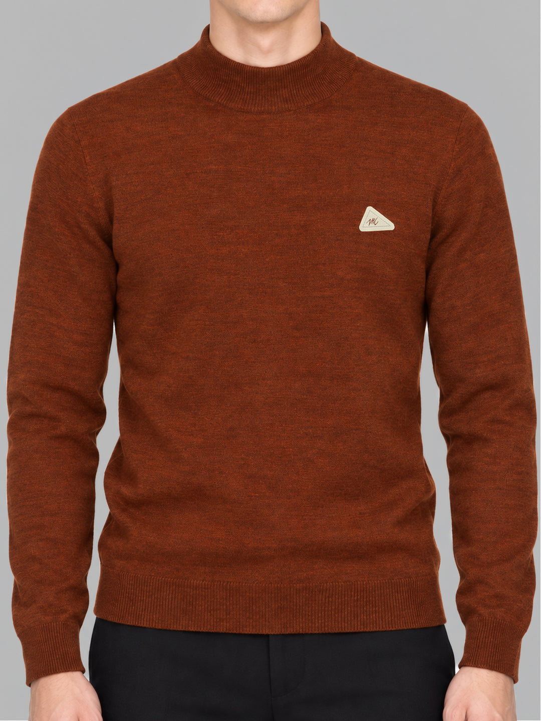 Men Rust Solid Turtle Neck Full Sleeve Pullover