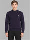 Men Purple Solid Turtle Neck Full Sleeve Pullover