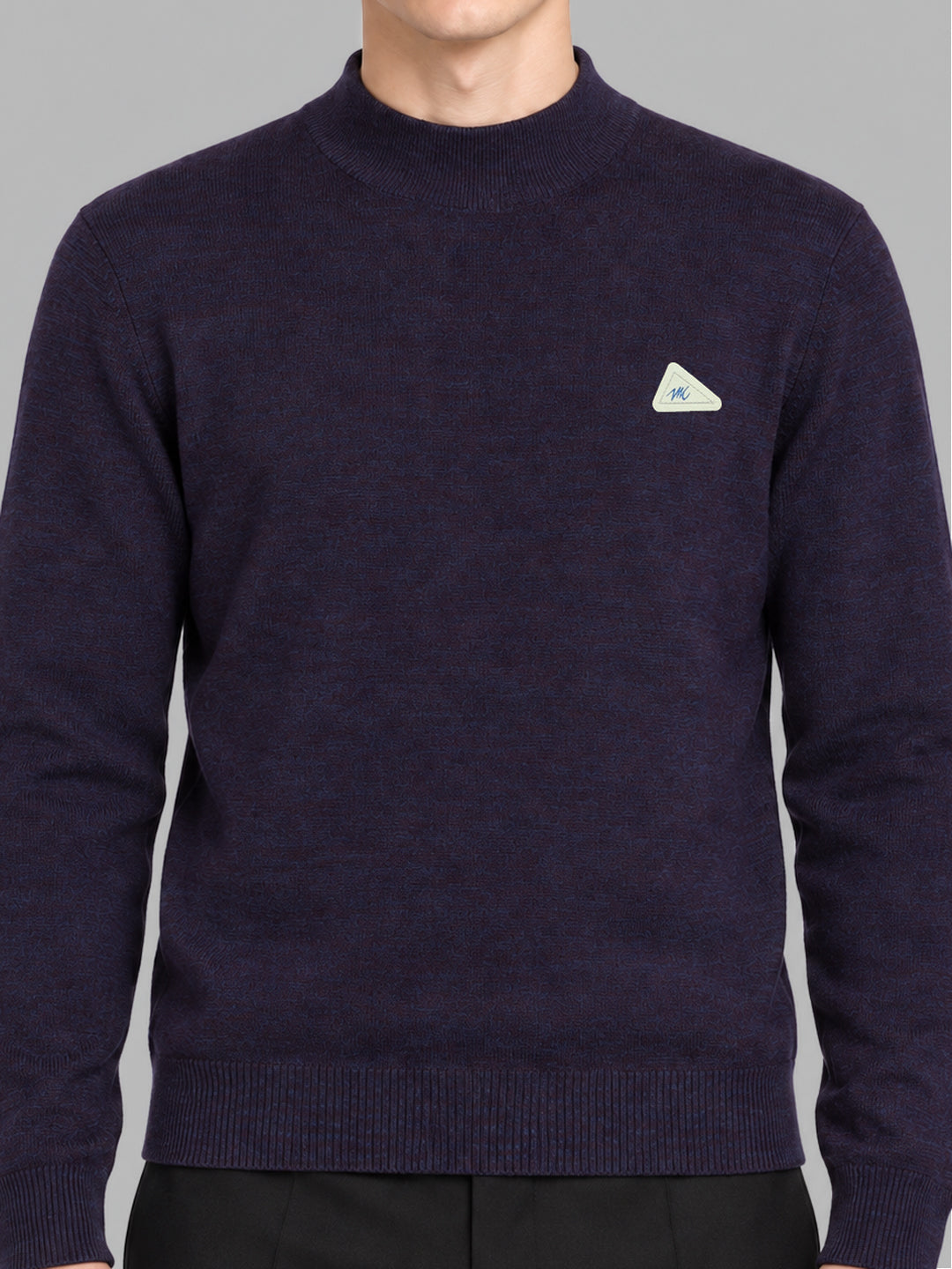 Men Purple Solid Turtle Neck Full Sleeve Pullover