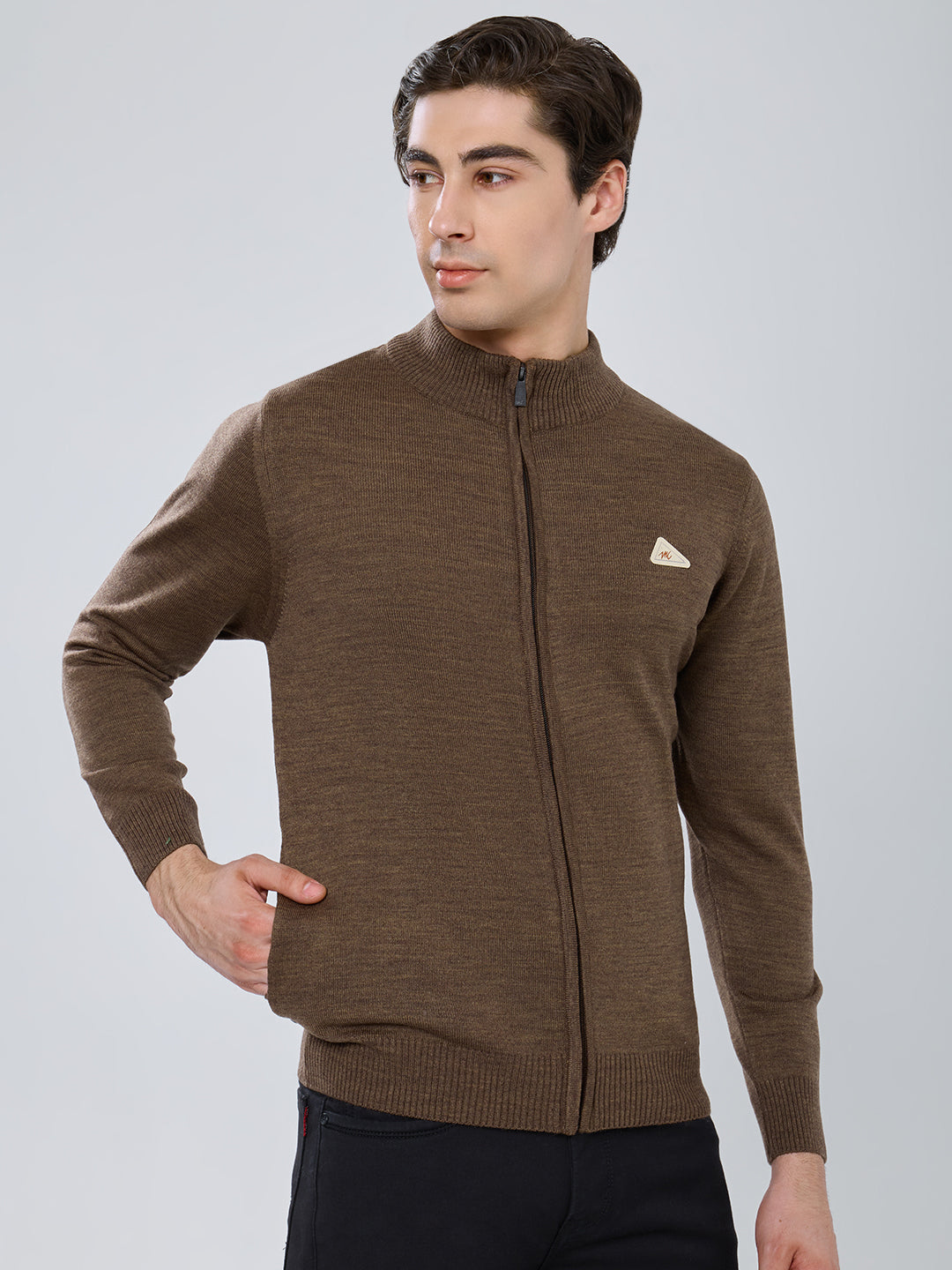 Men Brown Solid Turtle Neck Full Sleeve Pullover