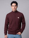 Men Brown Solid Turtle Neck Full Sleeve Pullover