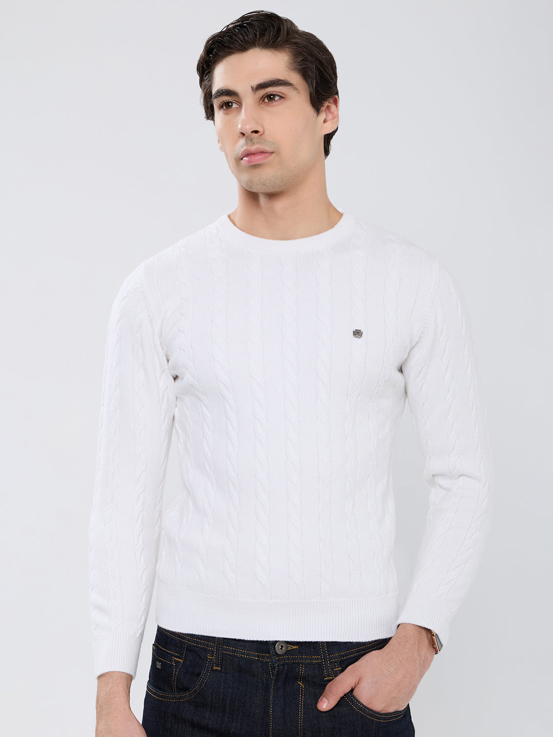 Men White Self Design Round Neck Full Sleeve Pullover