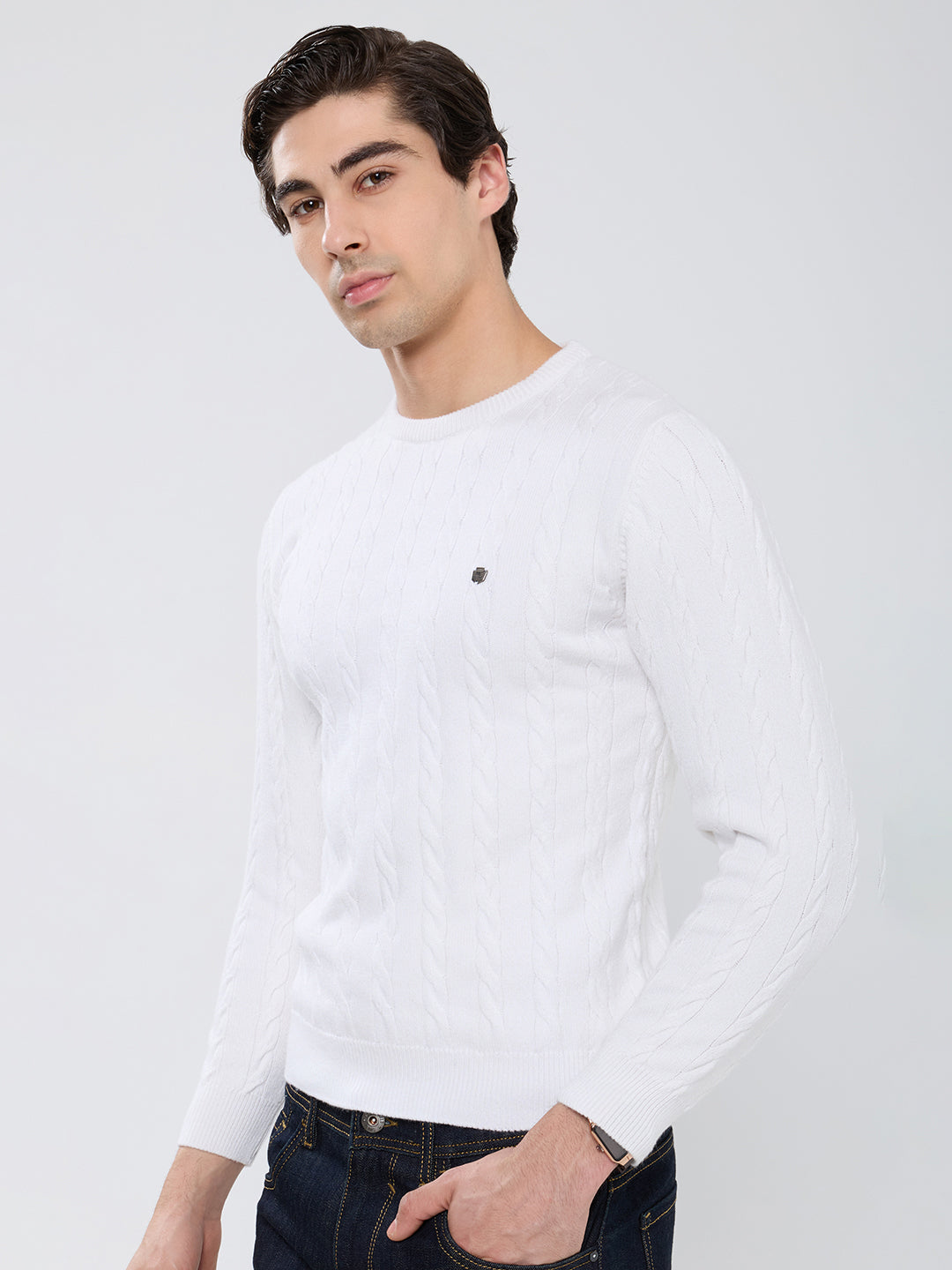 Men White Self Design Round Neck Full Sleeve Pullover