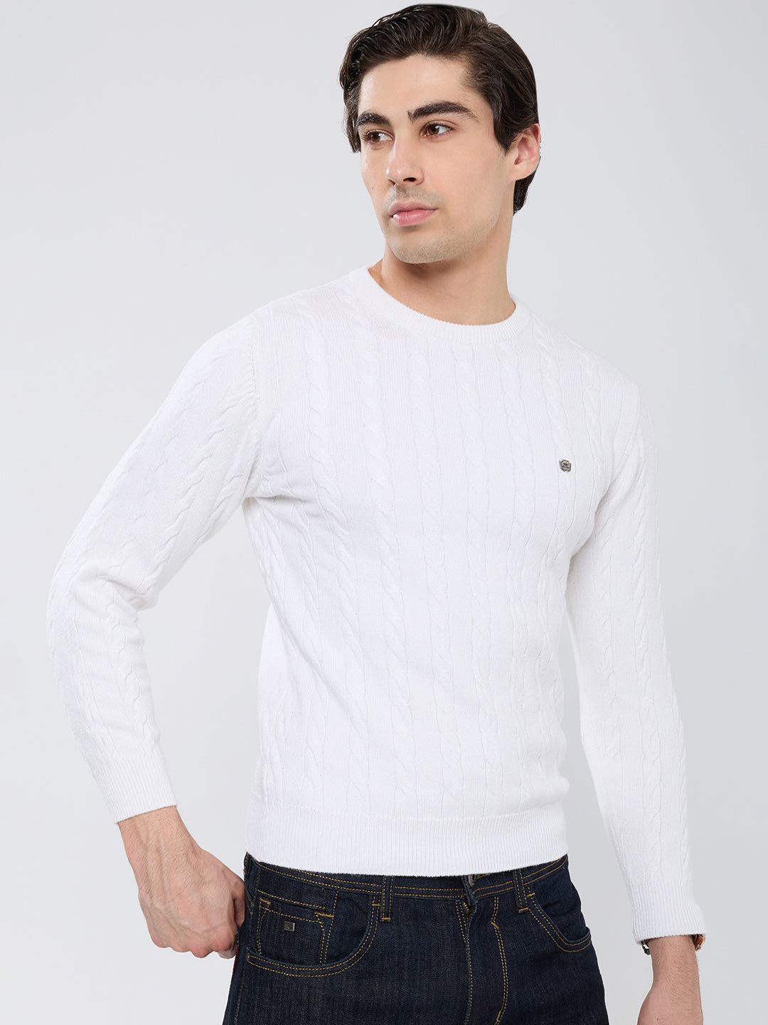 Men White Self Design Round Neck Full Sleeve Pullover